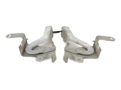 Hinge/Door check strap RENAULT CLIO IV (BH_) 1.5 dCi 90 | BP27908884C146 