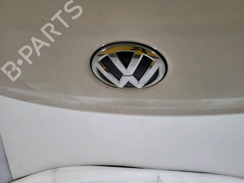 Tailgate VW POLO V (6R1, 6C1) 1.4 TDI | BP30166416C6