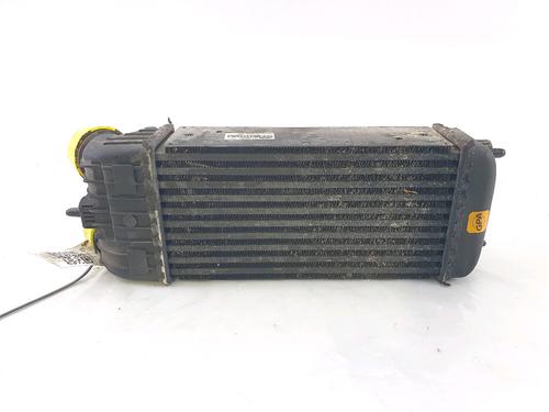 Used Intercooler PEUGEOT 207 (WA_, WC_) 1.6 16V RC (174 hp) 26970255