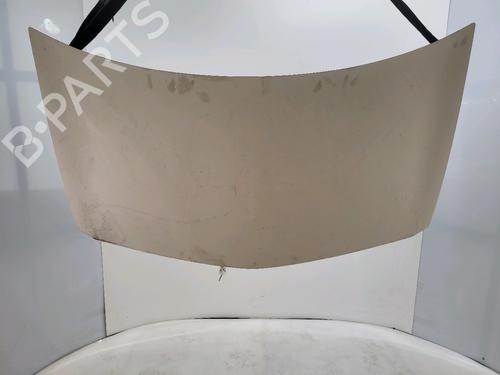 Used Hood RENAULT MEGANE II (BM0/1_, CM0/1_) [2001-2012]  28176974