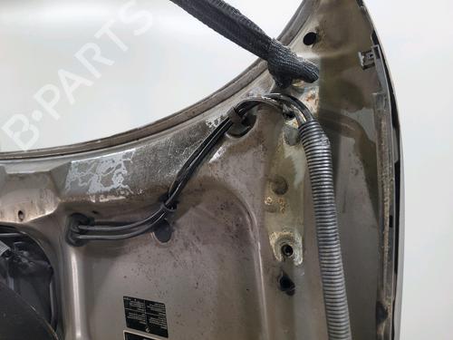 Hood BMW 5 (E39) 530 d | BP29517651C1 