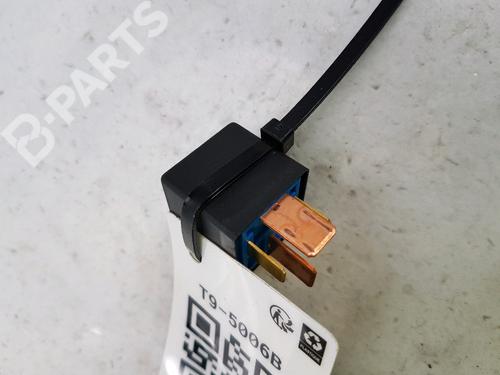 Electronic module HYUNDAI SANTA FÉ II (CM) 2.2 CRDi 4x4 | BP10778668M83 