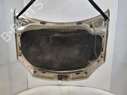 Hood VW GOLF V (1K1) 1.9 TDI | BP29874846C1