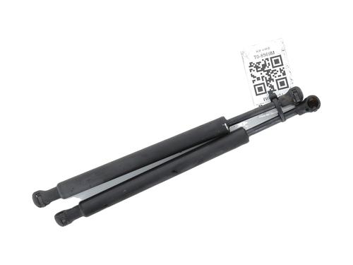 Used Tailgate lift support CITROËN C3 Pluriel (HB_) 1.4 HDi (68 hp) 31661948