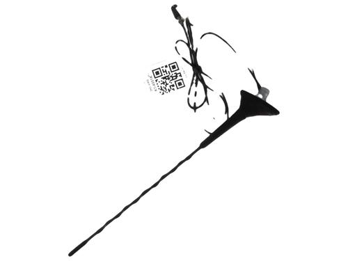 Antenna/Base RENAULT CLIO III (BR0/1, CR0/1)  | BP28286062C140 
