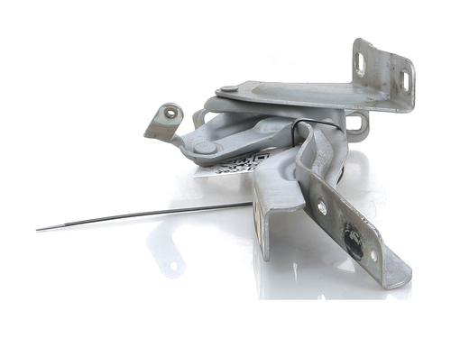 Hinge/Door check strap NISSAN PULSAR Hatchback (C13) 1.5 dCi | BP27904309C146 