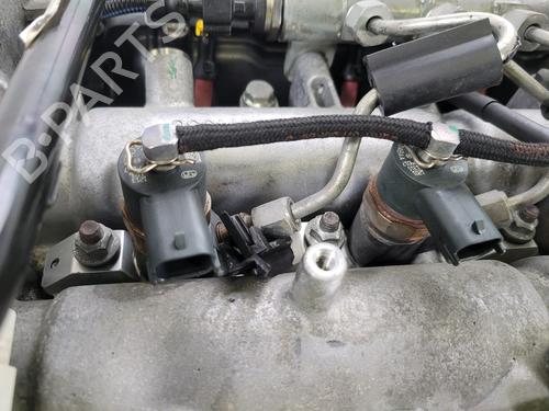 Engine FIAT BRAVO II (198_) 1.6 D Multijet (198AXH1B) | BP28506062M1 