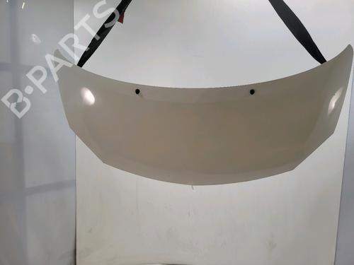 hood-renault-twingo-ii-cn0_-2007-40057608 main image