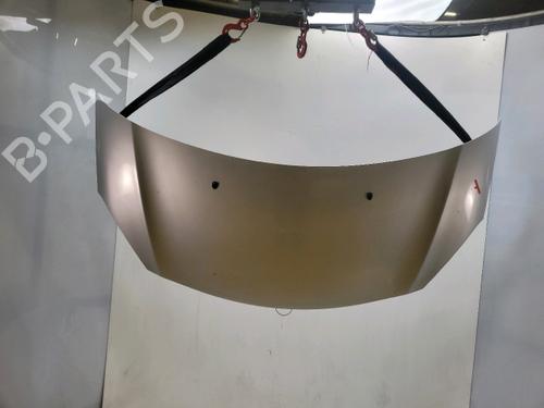 hood-citroen-c3-ii-sc_-2009-40521209 main image