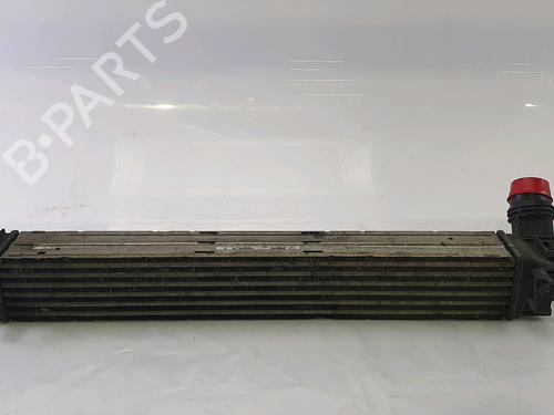 Used Intercooler RENAULT MEGANE III Grandtour (KZ0/1) 1.5 dCi (KZ09, KZ0D, KZ1G, KZ29, KZ14, KZ1W, KZ10, KZ1F,... (110 hp) 28310370