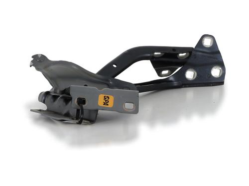 Hinge/Door check strap RENAULT MEGANE IV Hatchback (B9A/M/N_) 1.2 TCe 100 (B9MS) | BP29346442C146 
