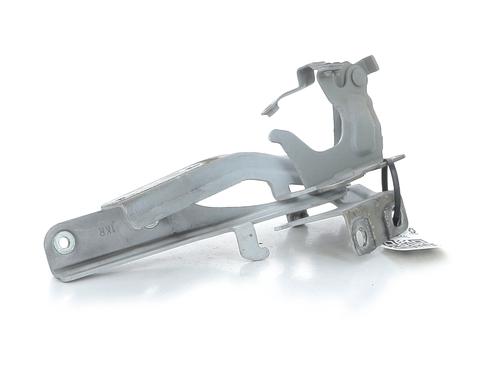 Zawias / Ogranicznik drzwi NISSAN JUKE (F15) 1.6 | BP30799309C146