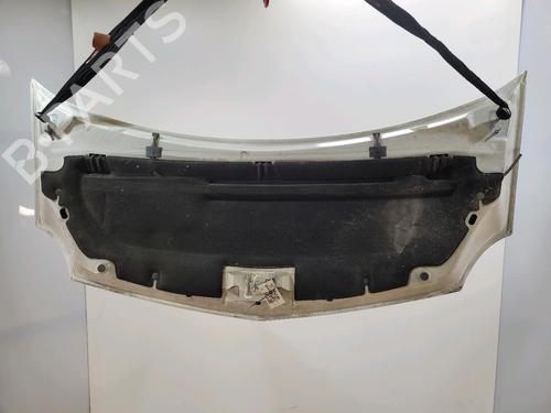 Hood RENAULT KANGOO Express (FW0/1_) 1.5 dCi 75 (FW07, FW10, FW04) | BP29762519C1 