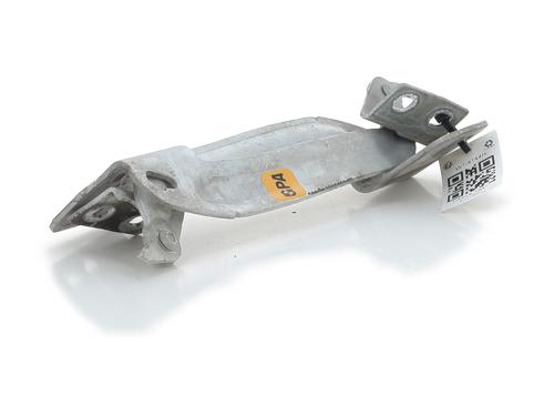 Hinge/Door check strap RENAULT KANGOO Express (FW0/1_)  | BP28506556C146 