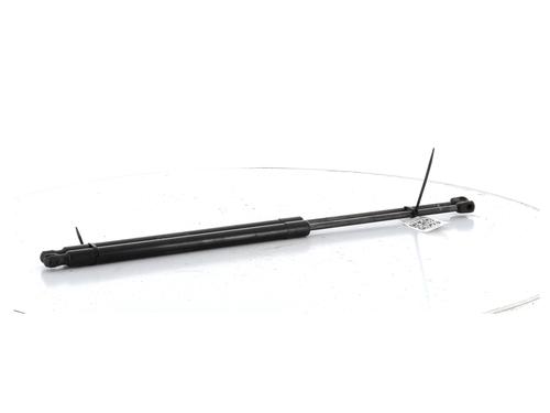 Tailgate lift support MERCEDES-BENZ VITO / MIXTO Van (W639)  | BP27916786C138 