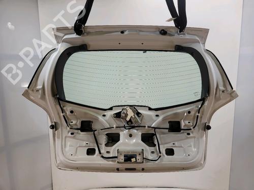Tailgate RENAULT CLIO III (BR0/1, CR0/1) 1.5 dCi | BP29444086C6 