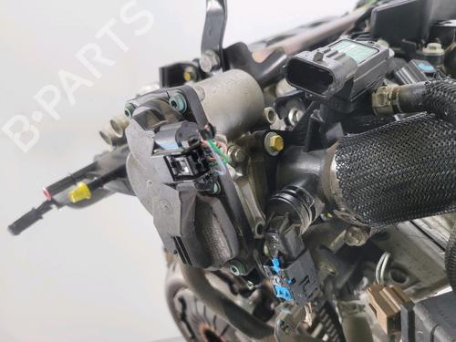 Engine RENAULT TWINGO III (BCM_, BCA_) 0.9 TCe 95 | BP29988242M1