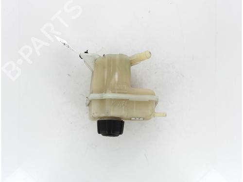 Expansion tank NISSAN QASHQAI / QASHQAI +2 I (J10, NJ10, JJ10E) 1.6 | BP17177076C120 