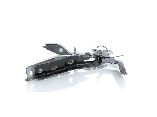 Hinge/Door check strap CITROËN C4 III (BA_, BB_, BC_) 1.5 BlueHDi 130 (BBYHZB) | BP27901672C146 