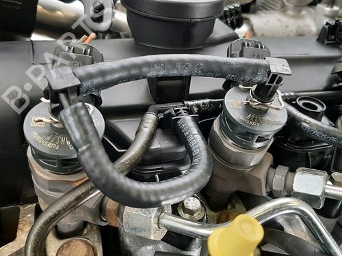 Engine RENAULT KANGOO Express (FW0/1_)  | BP33685690M1  - Image 8