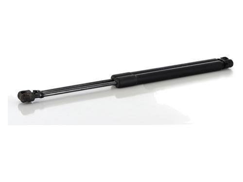 Tailgate lift support FORD KA+ III (UK, FK) 1.2 | BP27907275C138 