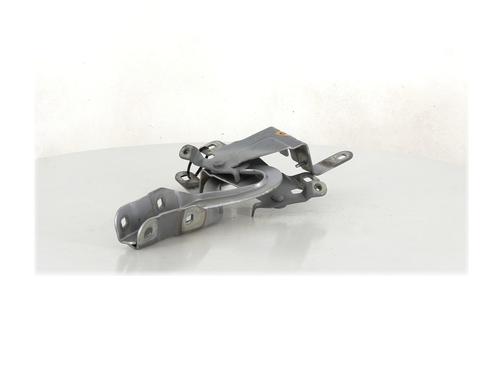 Hinge/Door check strap RENAULT CLIO IV (BH_) 1.5 dCi 90 | BP27913243C146 