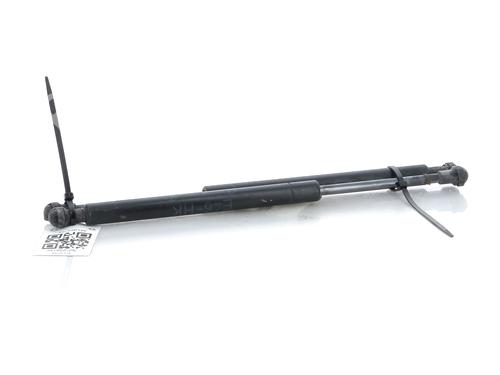 Tailgate lift support BMW 3 (E46) 330 xd | BP27903639C138 