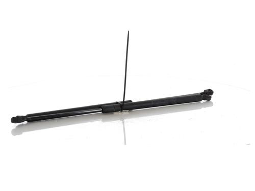 Tailgate lift support FORD S-MAX (WA6) 1.8 TDCi | BP27901229C138 