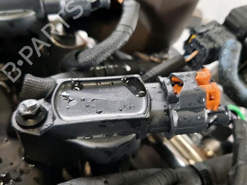 Engine DS DS 3 (SA_) 1.2 THP 110 / PureTech 110 (SAHNPS, SAHNZ6, SAHNZT) | BP31141688M1