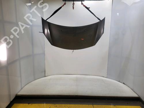 Used Hood CITROËN C3 II (SC_) 1.2 VTi 82 (82 hp) 30379991