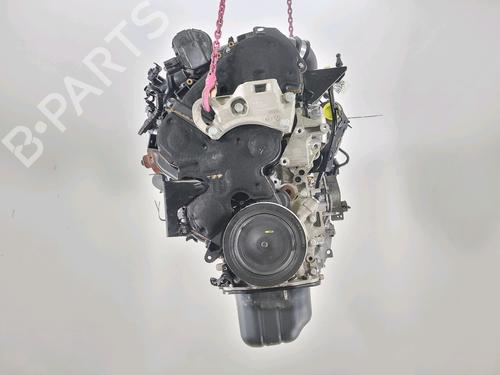 Used Engine FORD FIESTA VI (CB1, CCN) 1.4 TDCi (70 hp) 28160662