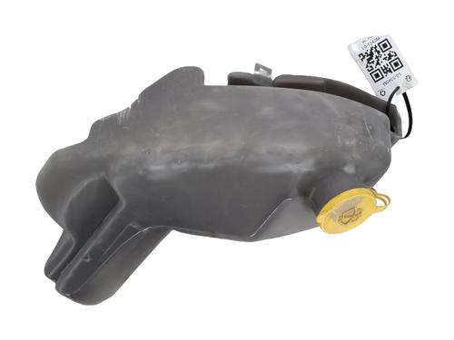 Windscreen washer tank NISSAN CABSTAR E (TL_, VL_) 125.35, 125.45 (TL0, VL0) | BP27729306C113 