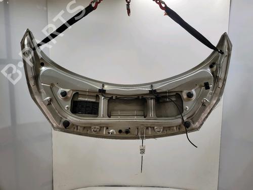 Hood RENAULT SCÉNIC II (JM0/1_) 1.5 dCi (JM1E, JM16) | BP29381861C1 