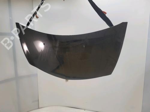 Used Hood RENAULT CLIO III (BR0/1, CR0/1) 1.5 dCi (BR0H, CR0H, CR1S, BR1S) (106 hp) 28686726