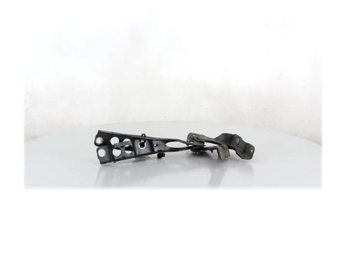 Charnière/Limiteur de porte CITROËN C4 II (NC_) 1.6 HDi 115 | BP30799588C146