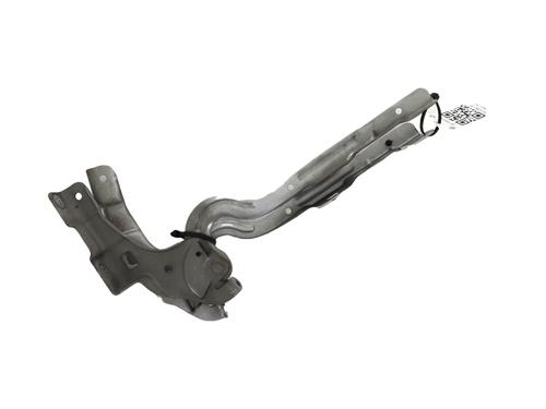 hingedoor-check-strap-citroen-c4-ii-nc_-2009-32279298 main image