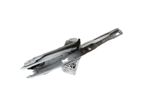 hingedoor-check-strap-dacia-duster-hs_-2010-2011-2012-2013-2014-2015-2016-2017-2018-39633411 main image