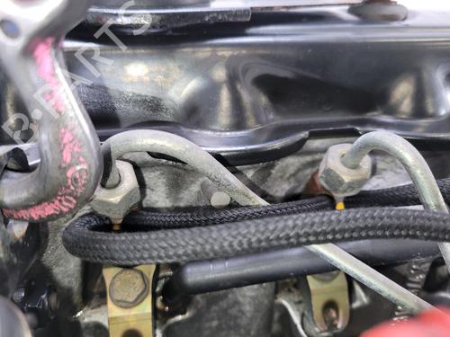 Engine VW POLO (6N2)  | BP17388981M1 