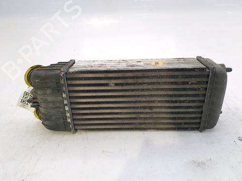 Intercooler CITROËN C3 II (SC_) 1.6 HDi 90 | BP28971353M30