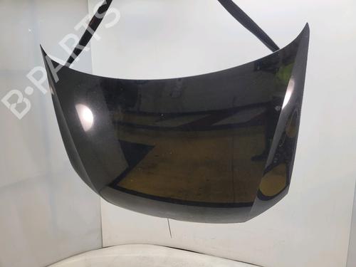 Used Hood VW POLO V (6R1, 6C1) 1.6 TDI (90 hp) 31749739