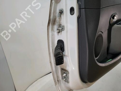 Right front door RENAULT CLIO III (BR0/1, CR0/1) 1.5 dCi | BP30957903C3