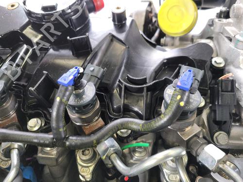 Engine RENAULT MEGANE IV Hatchback (B9A/M/N_) 1.5 Blue dCi 115 (B9A6) | BP25908232M1 
