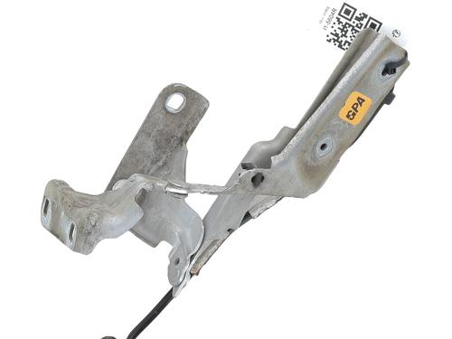 Used Hinge/Door check strap CITROËN C4 I (LC_) 1.6 HDi (90 hp) 31577977