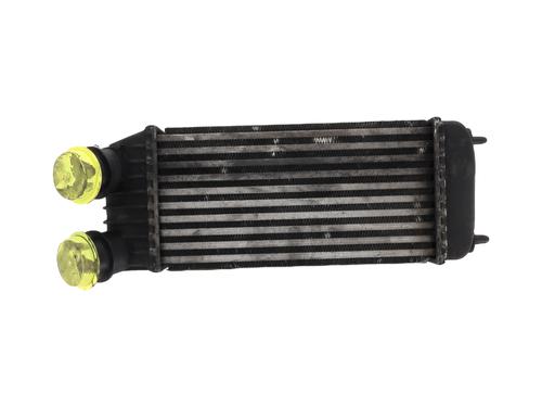 Used Intercooler PEUGEOT EXPERT Tepee (VF3X_) [2007-2025]  25751189