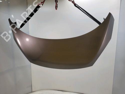 Hood RENAULT SCÉNIC III (JZ0/1_) 1.5 dCi | BP29874688C1