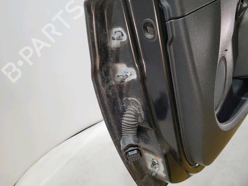 Right front door RENAULT CLIO III (BR0/1, CR0/1)  | BP28333162C3 