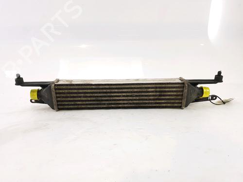 Intercooler FIAT GRANDE PUNTO (199_)  | BP25481372M30 