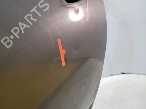 Right front door RENAULT SCÉNIC III (JZ0/1_) 1.6 dCi (JZ00, JZ12) | BP29048213C3 