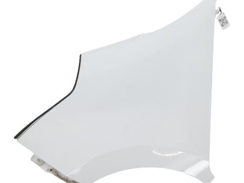 left-front-fenders-renault-master-iii-van-fv-2010-38479688 main image