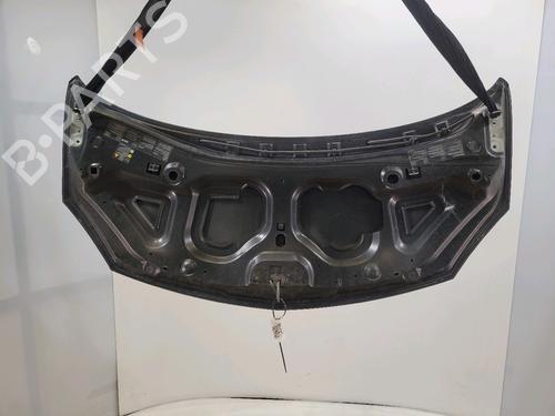 Hood RENAULT TWINGO II (CN0_) 1.2 16V (CN04, CN0B) | BP28971581C1 